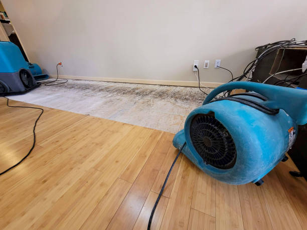 Professional Flood Damage Cleanup technician working in Norwood Young America, MN